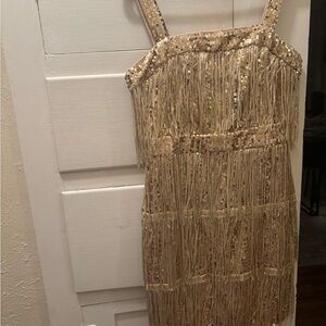 Sequin Fringe Dress